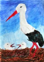 Švieková Sandra.jpg